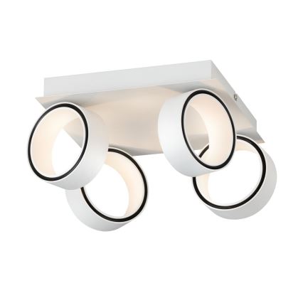 Eglo 39587 - LED spotlight ALBARIZA 4xLED/4,6W/230V