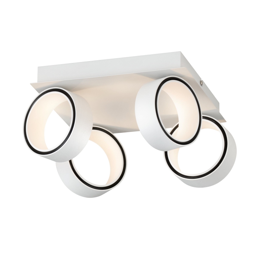 Eglo 39587 - LED spotlight ALBARIZA 4xLED/4,6W/230V