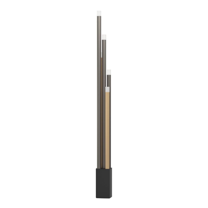 Eglo - LED Dimbar golvlampa 5xLED/3,7W/230V 3000K antracit/guld