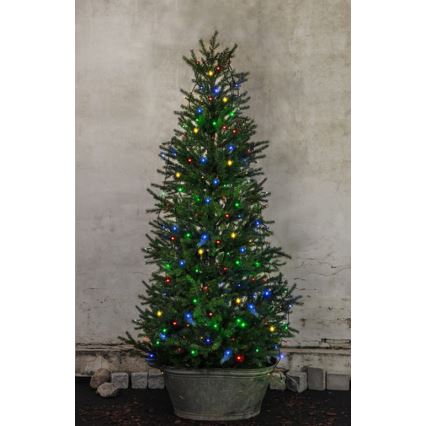 Eglo - LED utomhus julkedja  160xLED 2m IP44 flerfärgade