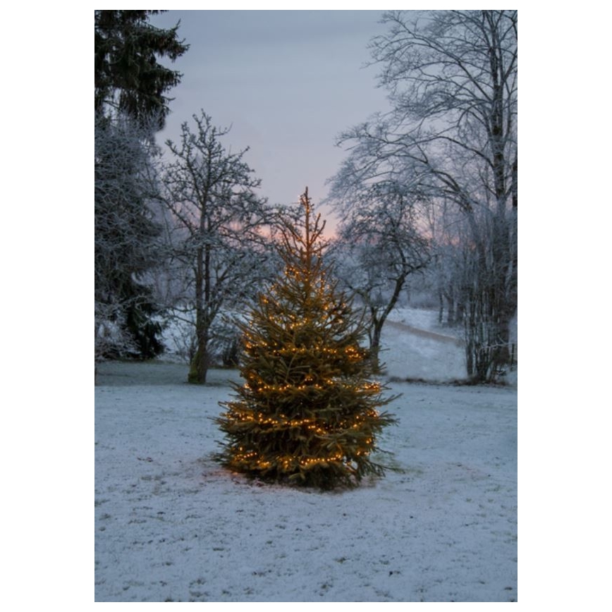 Eglo - LED utomhus julkedja  1200xLED 24m IP44 varm vit