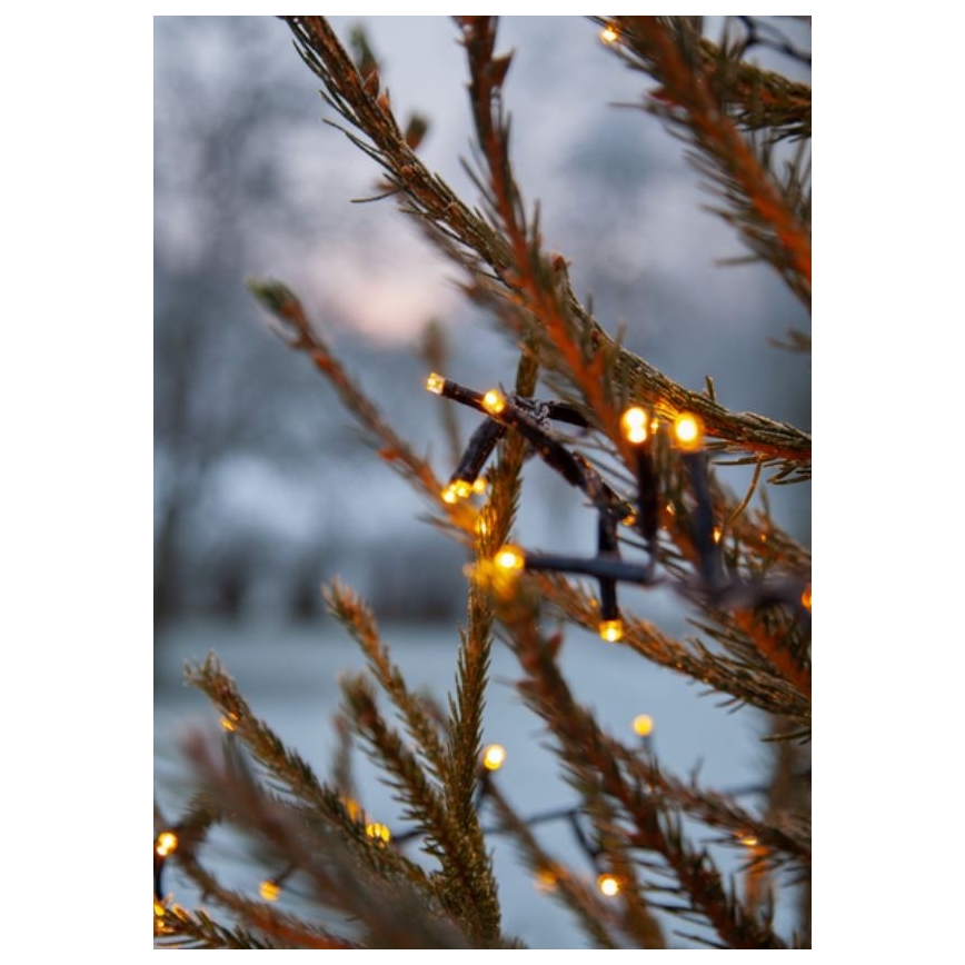Eglo - LED utomhus julkedja  1200xLED 24m IP44 varm vit