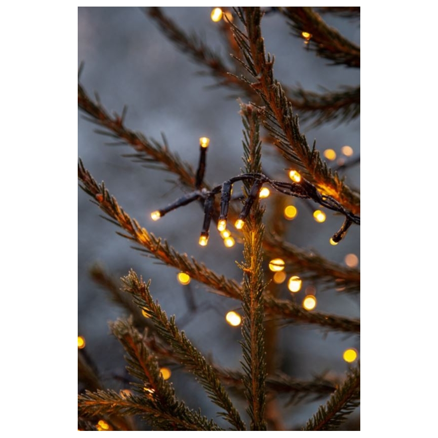 Eglo - LED utomhus julkedja  1200xLED 24m IP44 varm vit