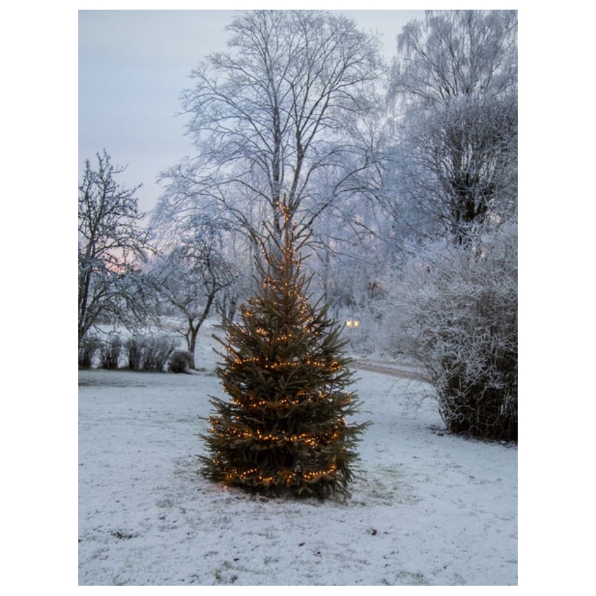 Eglo - LED utomhus julkedja  1200xLED 24m IP44 varm vit
