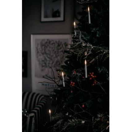 Eglo - Julgran  250 cm gran 