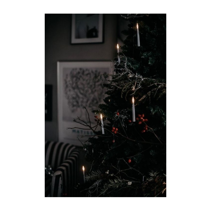 Eglo - Julgran  250 cm gran 