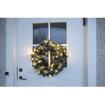 Eglo - LED Utomhus  Julkrans 30xLED/0,064W/3/230V IP44