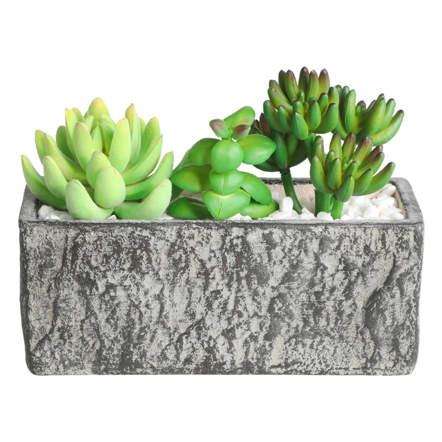 Eglo - plastväxt i blommkruka 14,5x17,8 cm suckulent