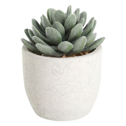 Eglo - plastväxt i blommkruka 11x8 cm suckulent