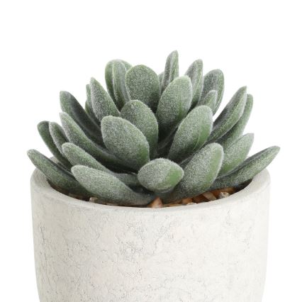 Eglo - plastväxt i blommkruka 11x8 cm suckulent