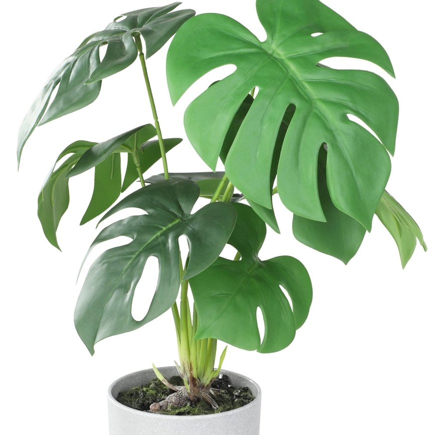 Eglo - Plastväxt i blommkruka 42x30 cm monstera
