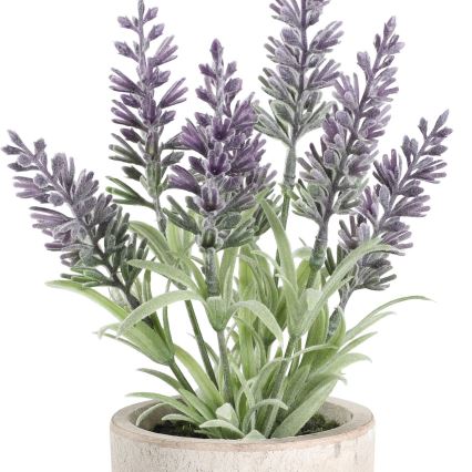 Eglo - Plastväxt i blommkruka 22x8 cm lavendel
