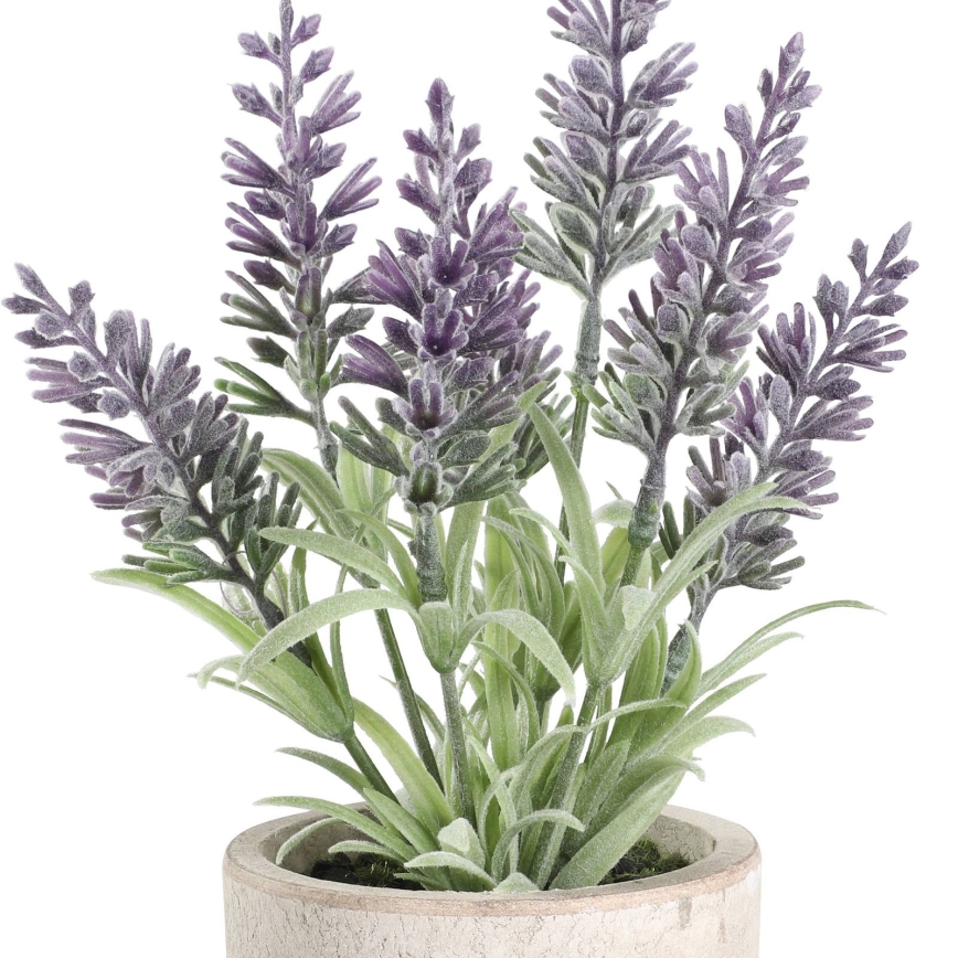 Eglo - Plastväxt i blommkruka 22x8 cm lavendel