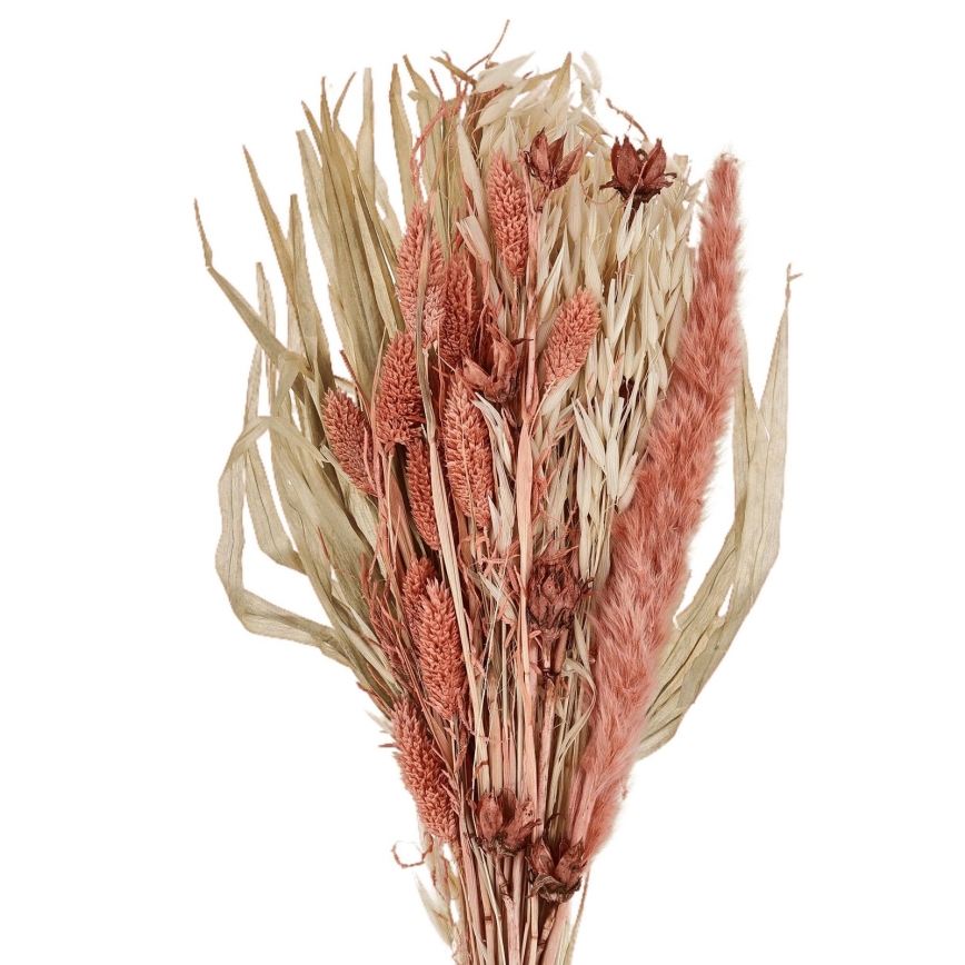 Eglo - Torkade blommor 60 cm orange