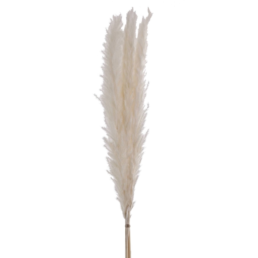Eglo - Torkade blommor 70 cm vit