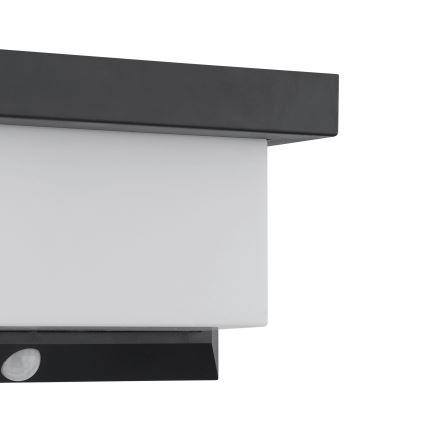 Eglo - LED solcell väggbelysning med sensor LED/3,84W/3,7V 2000 mAh IP44