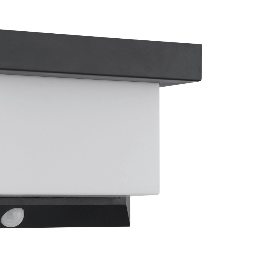 Eglo - LED solcell väggbelysning med sensor LED/3,84W/3,7V 2000 mAh IP44