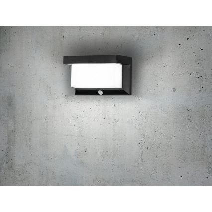 Eglo - LED solcell väggbelysning med sensor LED/3,84W/3,7V 2000 mAh IP44