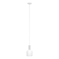 Eglo 62265 - Ljuskrona med textilsladd PASCOA PRO 1xE27/60W/230V 15,6 cm vit