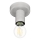 Eglo 64106 - Taklampa IGUALA 1xE27/40W/230V grå