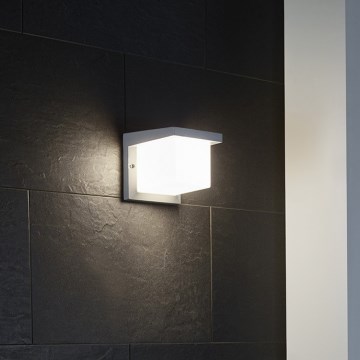 Eglo 65045 - LED vägglampa för utomhusbruk DESELLA PRO LED/10W/230V IP54 silver