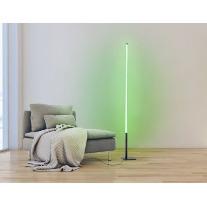 Eglo - LED RGB Ljusreglerad golvlampa LED/13,5W/230V 2700-6500K + fjärrkontroll