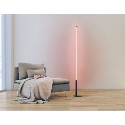 Eglo - LED RGB Ljusreglerad golvlampa LED/13,5W/230V 2700-6500K + fjärrkontroll