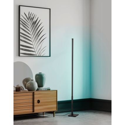 Eglo - LED RGB Ljusreglerad golvlampa LED/13,5W/230V 2700-6500K + fjärrkontroll