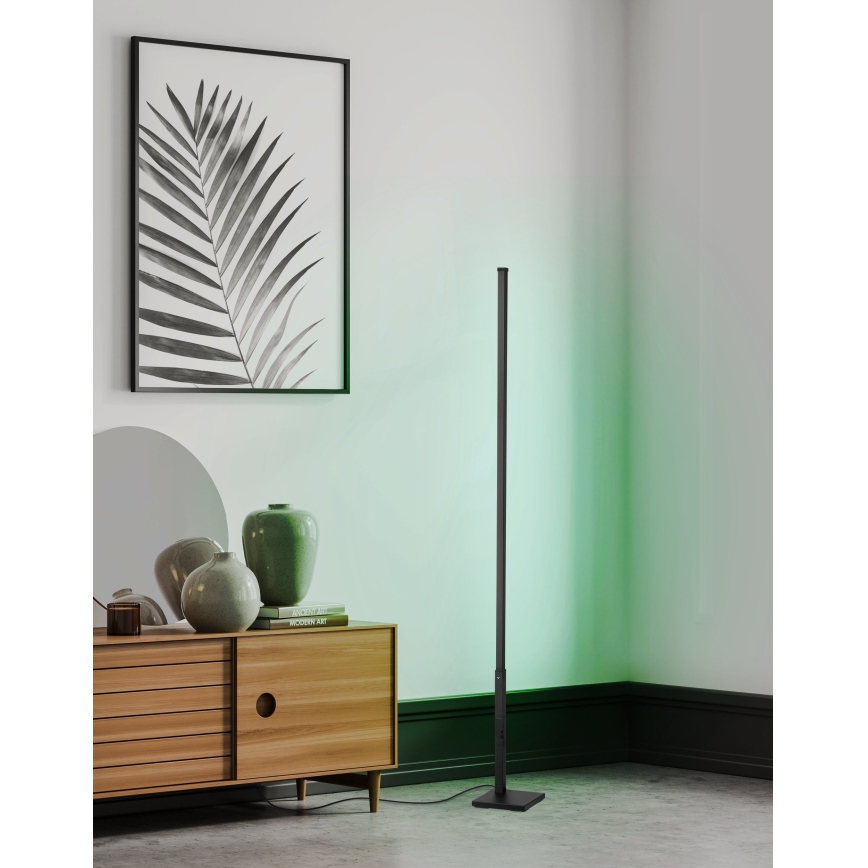 Eglo - LED RGB Ljusreglerad golvlampa LED/13,5W/230V 2700-6500K + fjärrkontroll