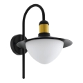 Eglo 79287 - Vägglampa för utomhusbruk SIRMIONE 1xE27/60W/230V IP44