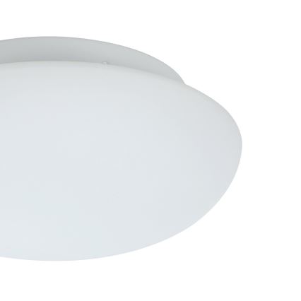 Eglo 81636 - Takbelysning ELLA 1xE27/60W/230V