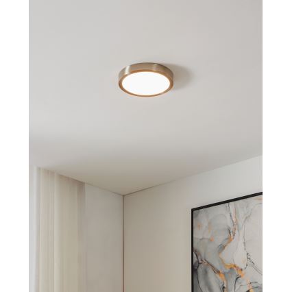 Eglo - LED ljusreglerad badrumstakbelysning LED/16,5W/230V IP44 ZigBee