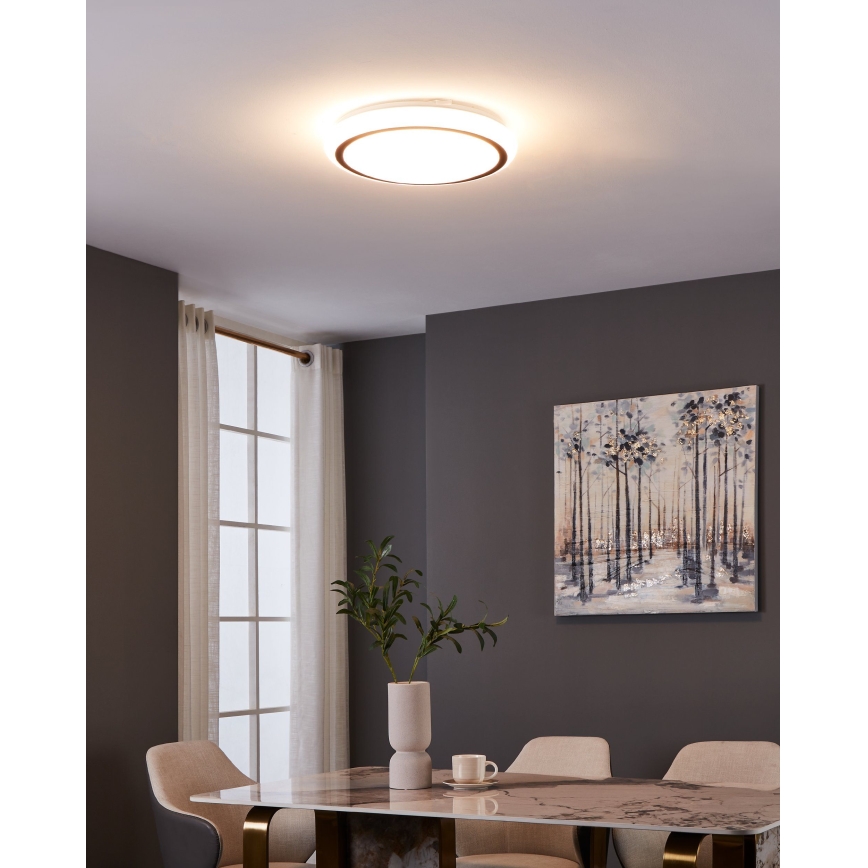 Eglo - LED taklampa LED/14,6W/230V
