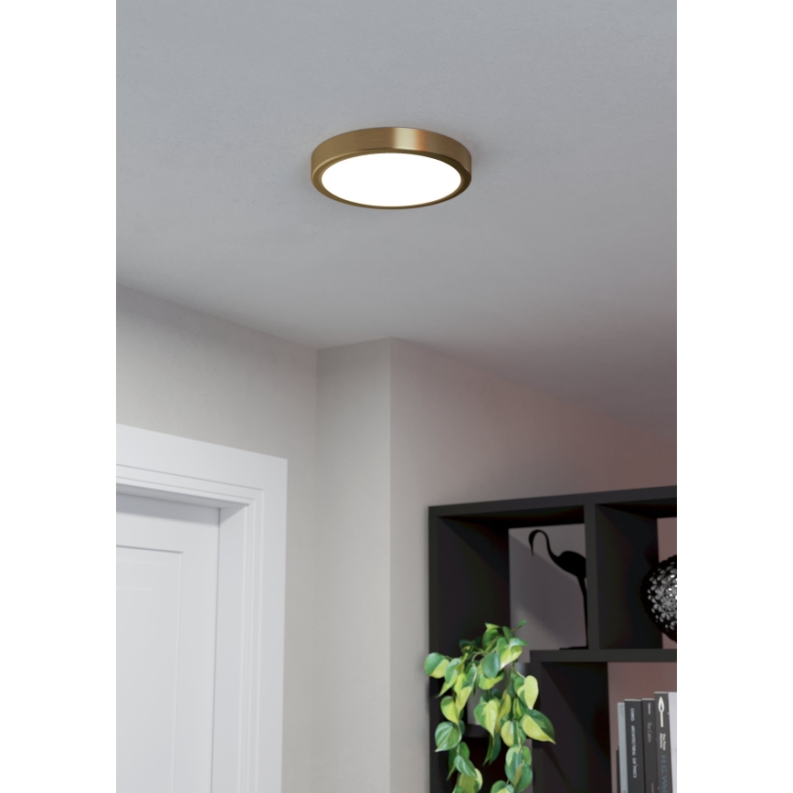 Eglo - LED taklampa LED/17W/230V diameter 21 cm