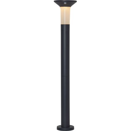 Eglo - LED Utomhus solcellslampa med sensor 6xLED/0,03W/3,7V IP44
