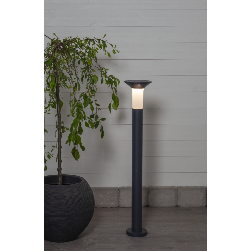 Eglo - LED Utomhus solcellslampa med sensor 6xLED/0,03W/3,7V IP44