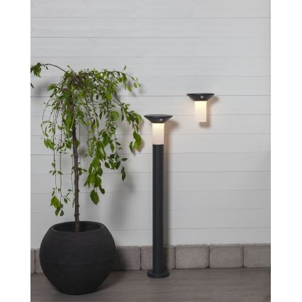Eglo - LED Utomhus solcellslampa med sensor 6xLED/0,03W/3,7V IP44