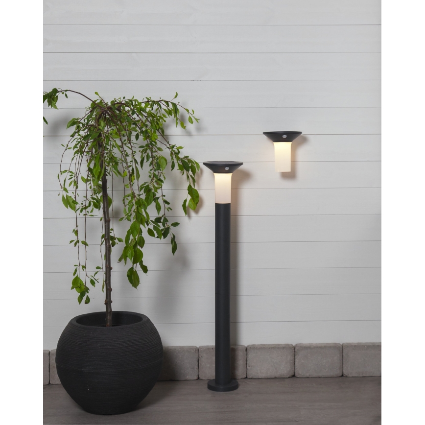Eglo - LED Utomhus solcellslampa med sensor 6xLED/0,03W/3,7V IP44