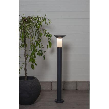 Eglo - Utomhus LED solcellslampa med sensor 6xLED/0,03W/3,7V 1500 mAh IP44