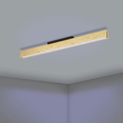 Eglo - LED RGBW Dimbar taklampa LED/35W/230V 2700-6500K