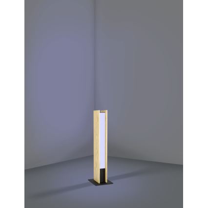 Eglo - LED RGBW Ljusreglerad bordslampa LED/16W/230V 2700-6500K