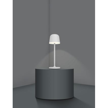 Eglo - LED Ljusreglerad utomhus rechargeable lampa LED/2,2W/5V 1800 mAh grå IP54