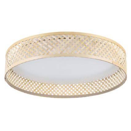 Eglo - LED taklampa LED/24W/230V