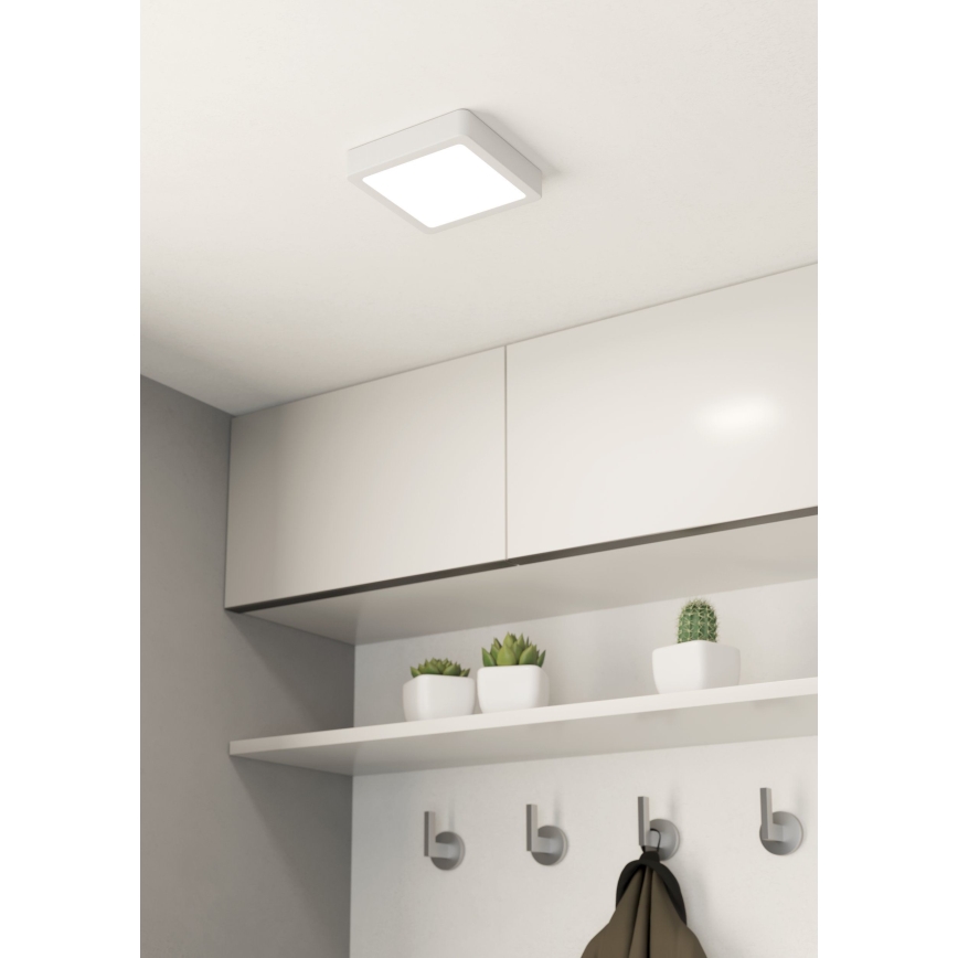 Eglo - LED taklampa för badrum LED/11W/230V IP44 vit