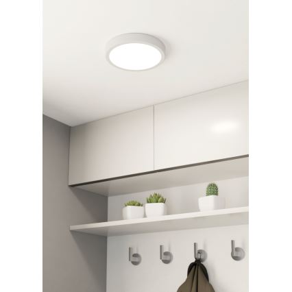 Eglo - LED taklampa för badrum LED/17W/230V vit IP44