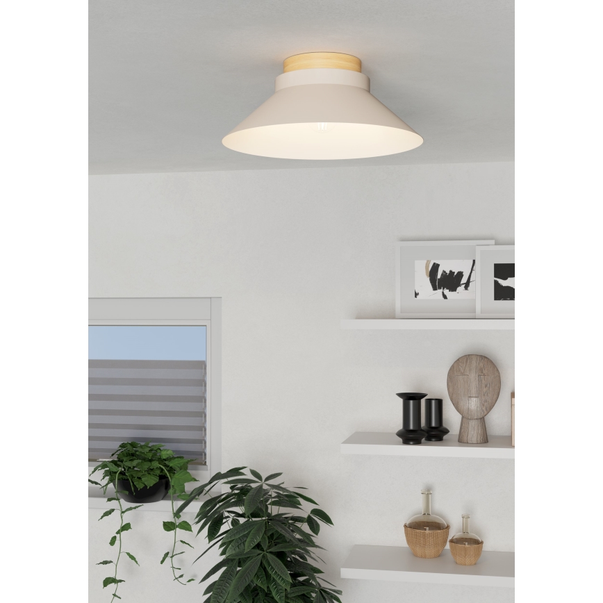 Eglo - Taklampa 1xE27/40W/230V