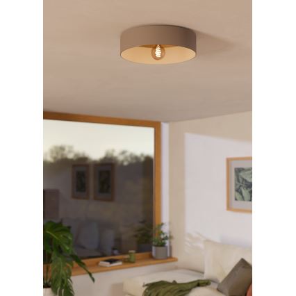 Eglo 900838 - Taklampa DUAIA 1xE27/40W/230V grå