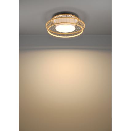 Eglo - LED RGBW Dimbar taklampa LED/22W/230V 2700-6500K