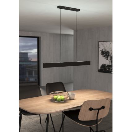 Eglo - LED RGBW Ljusreglerad ljuskrona på textilsladd LED/38W/230V 2700-6500K svart