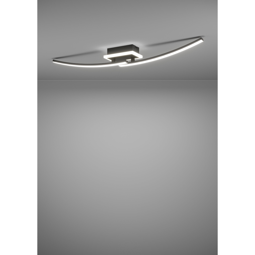 Eglo - LED taklampa LED/12W/230V 4000K svart